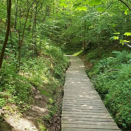 Goscinne Maj - Rozewie