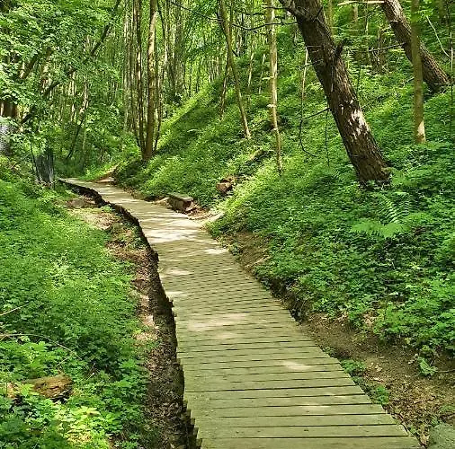 Goscinne Maj - Rozewie Feriepark Jastrzębia Góra