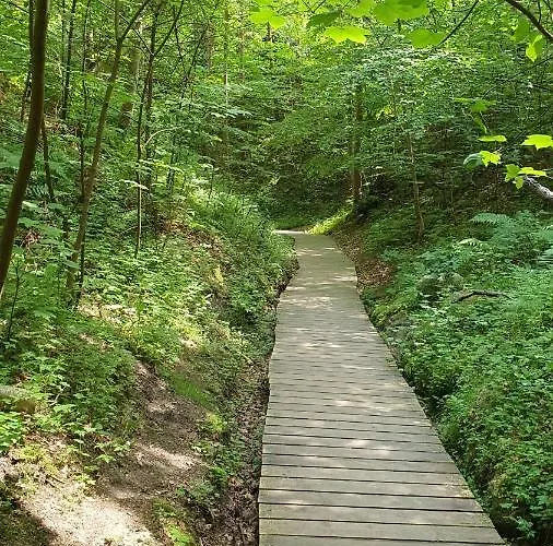 Goscinne Maj - Rozewie